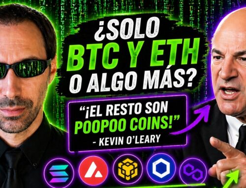 Mr. Wonderful’s Take on Bitcoin & Ethereum vs. Solana, BNB, and Chainlink